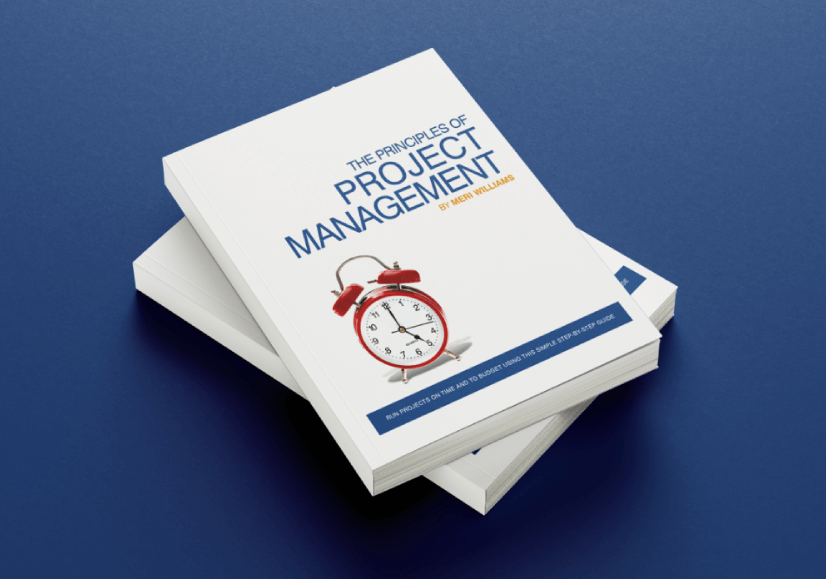 The Principles of Project Management by Meri Williams
