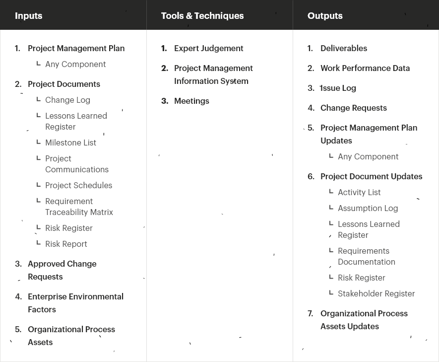 Directing and Managing the project itself